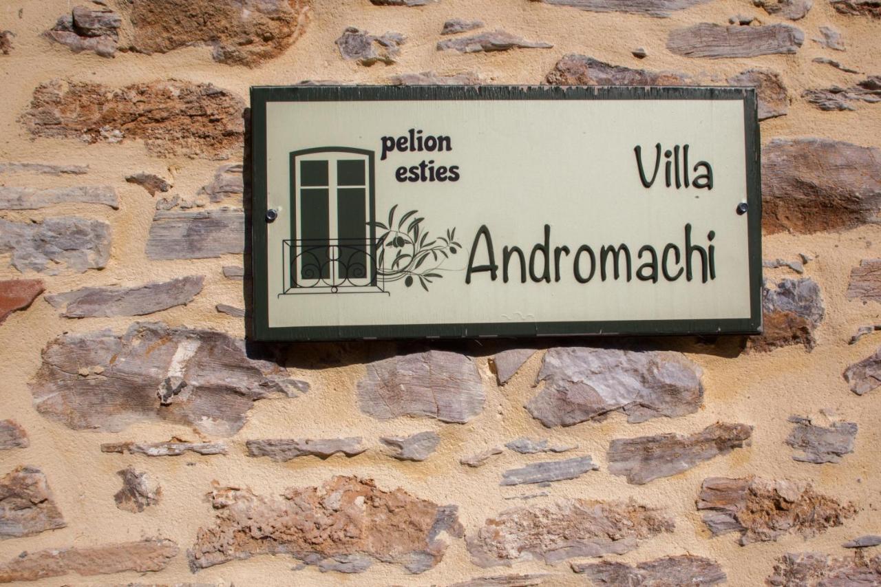 Villa Andromachi By Pelion Esties Ano Gatzea Exterior foto